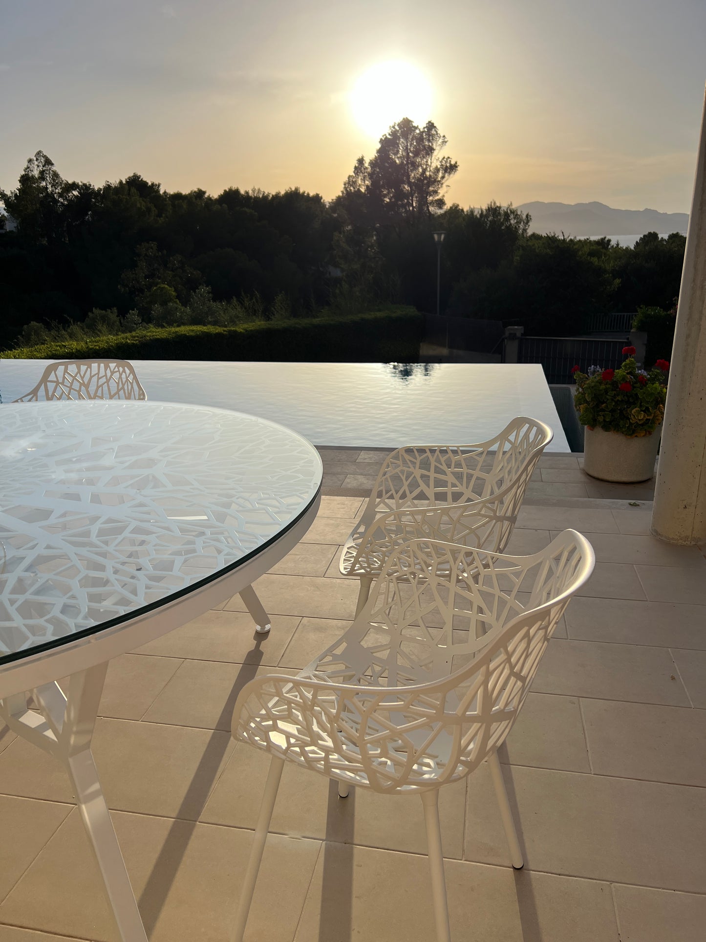 Forest Fast Chair Set (8x)