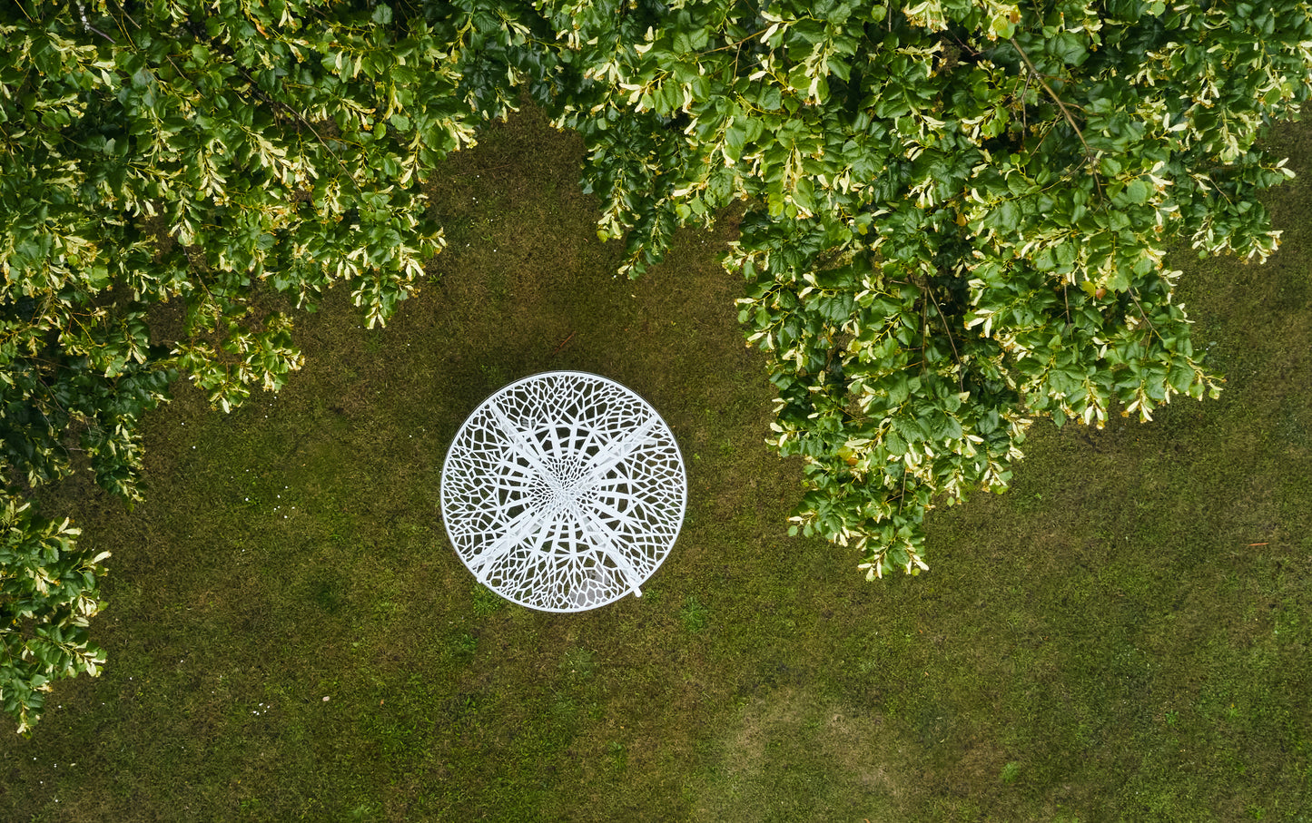 Tree Table (Pre-Order)
